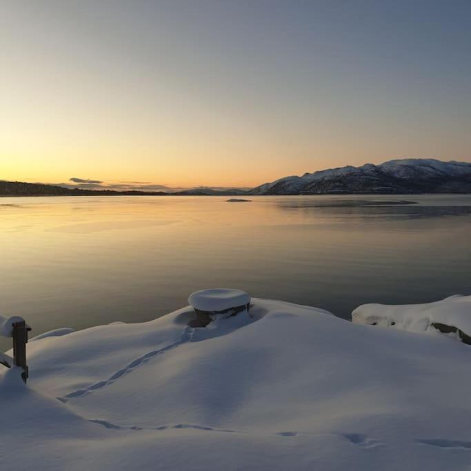 Off-The-Grid Cabin On The Island Of Senja In Northern Norway Brygghaugen 外观 照片
