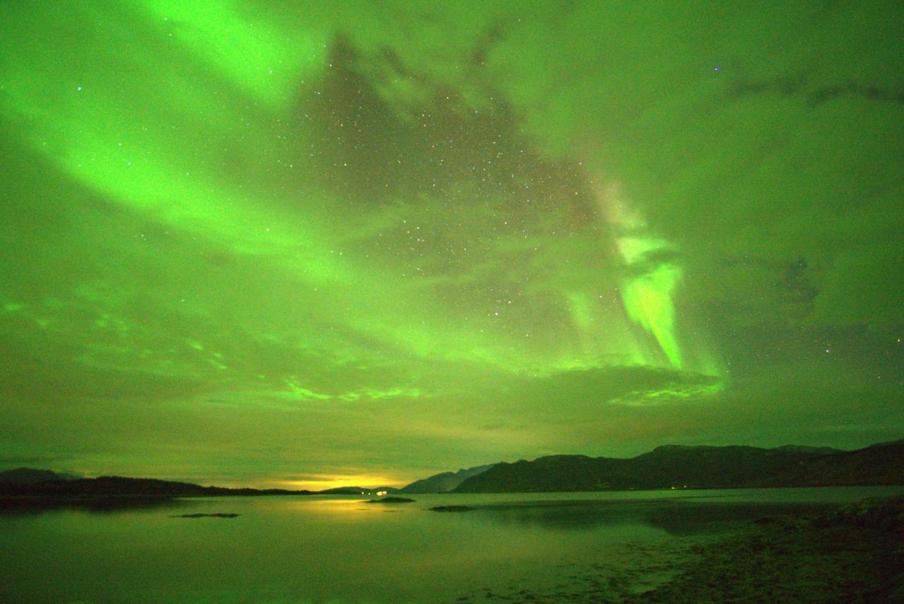 Off-The-Grid Cabin On The Island Of Senja In Northern Norway Brygghaugen 外观 照片
